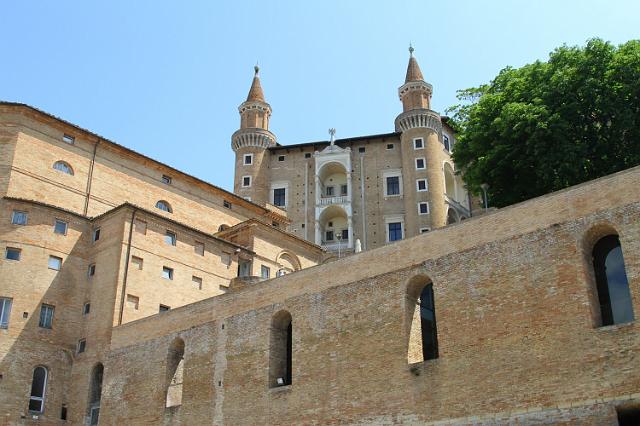 1191 Urbino.JPG